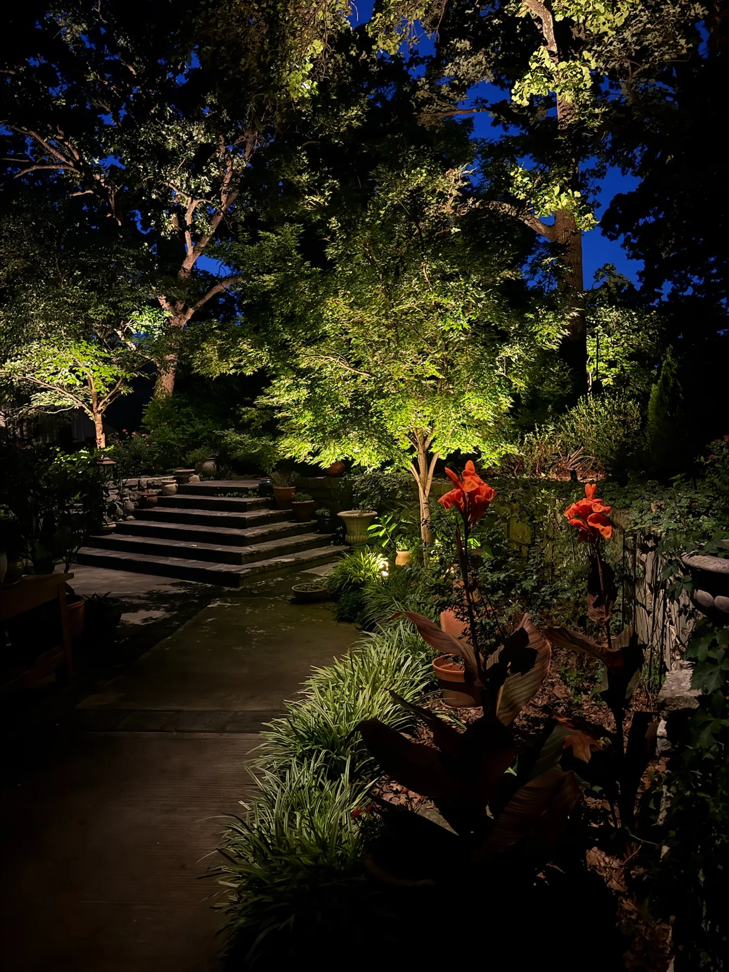 Garden stairs and planting lit for the evening walk. Landscape Lighting by LIT Outdoor Lighting in Tulsa.