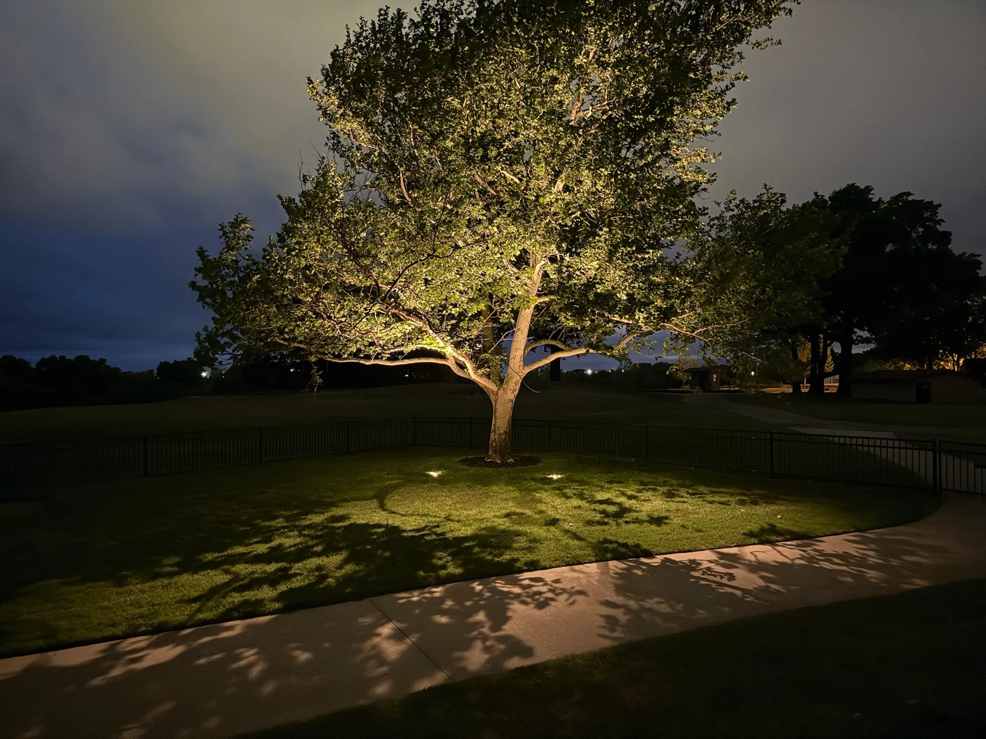 Broad tree lit from the ground up. Landscape Lighting by LIT Outdoor Lighting in Tulsa.
