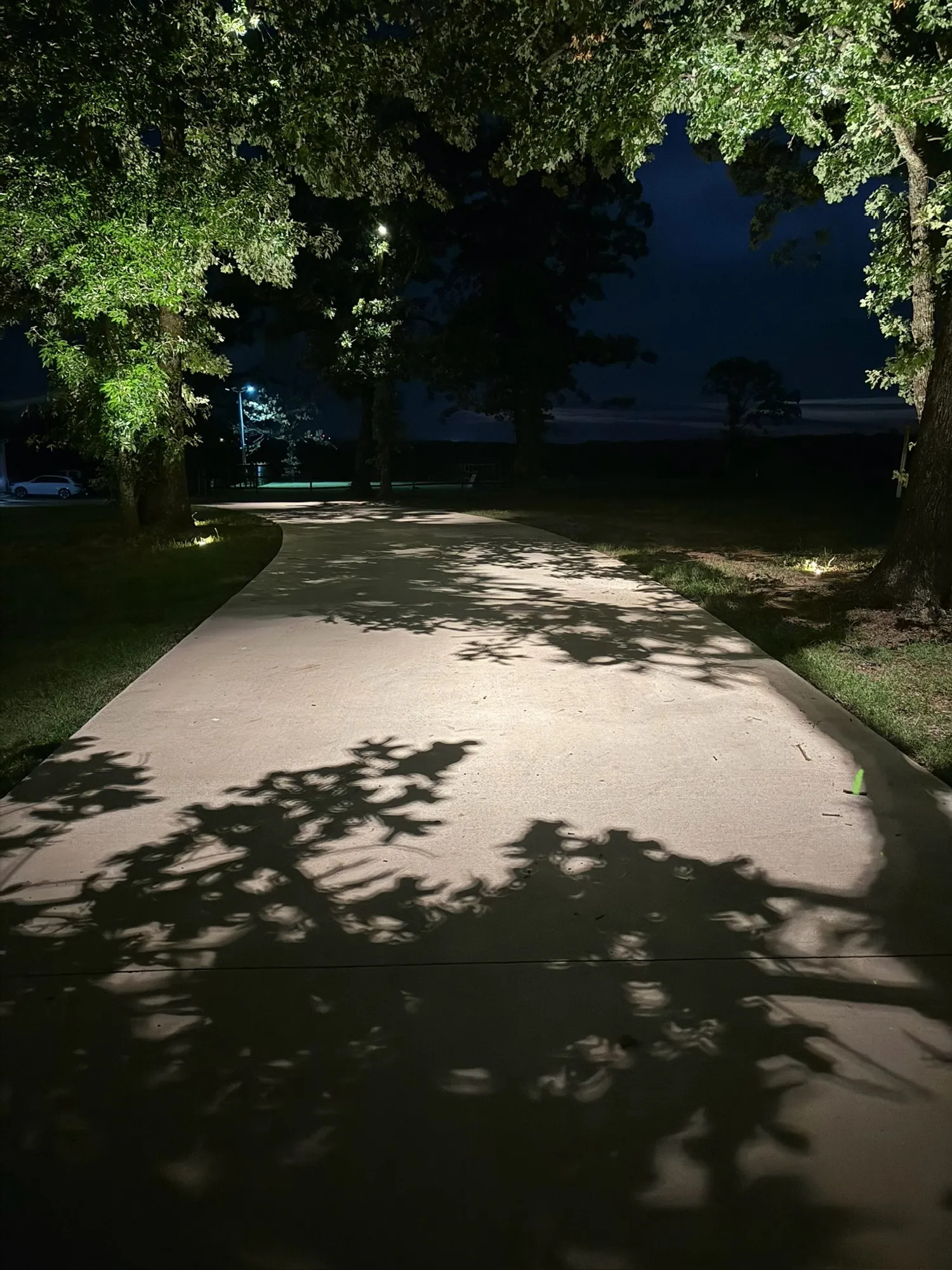 Drive lit under a tree canopy. Landscape Lighting by LIT Outdoor Lighting in Tulsa.