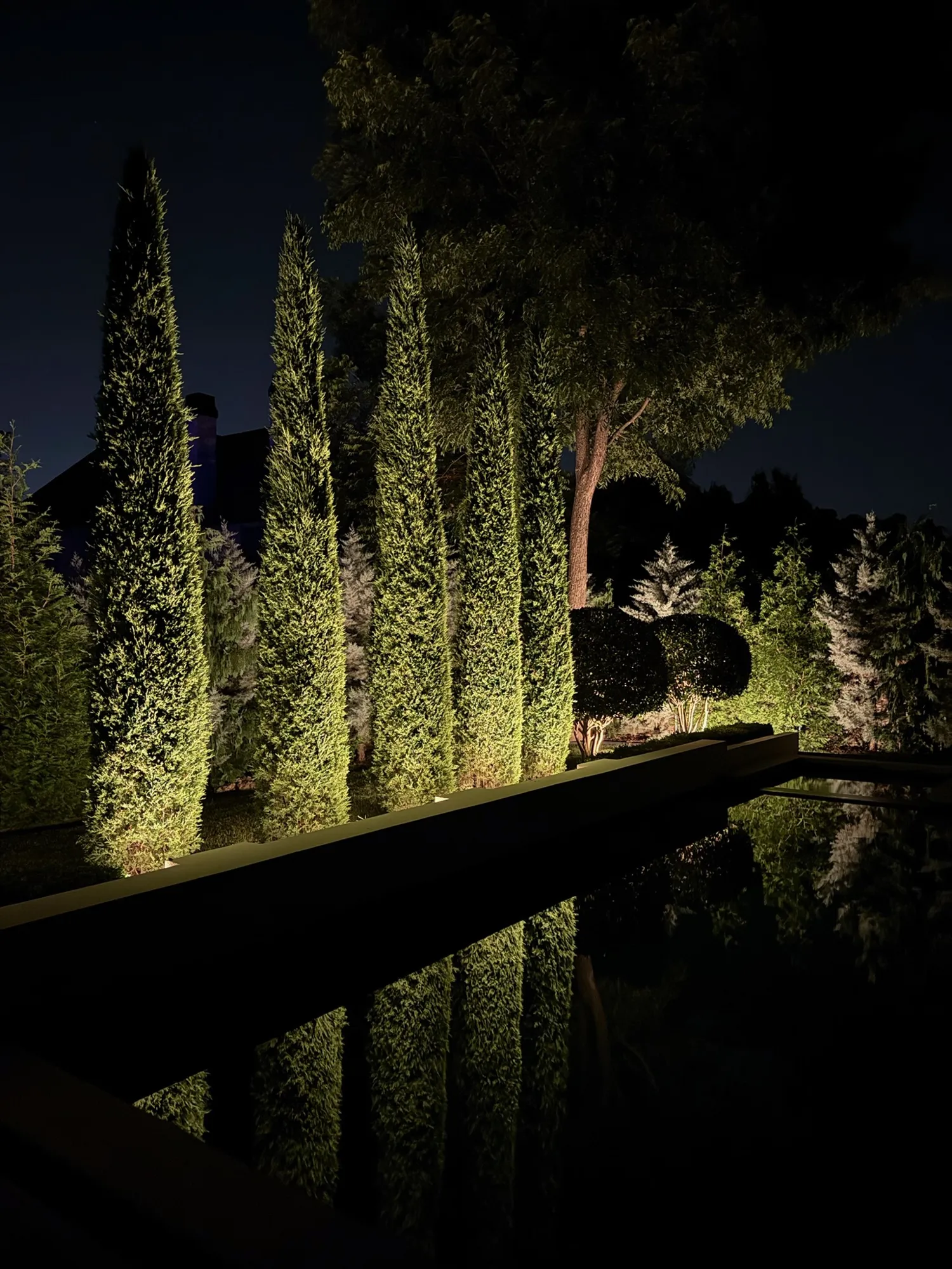 Columnar evergreens lit beside a reflecting pool. Landscape Lighting by LIT Outdoor Lighting in Tulsa.