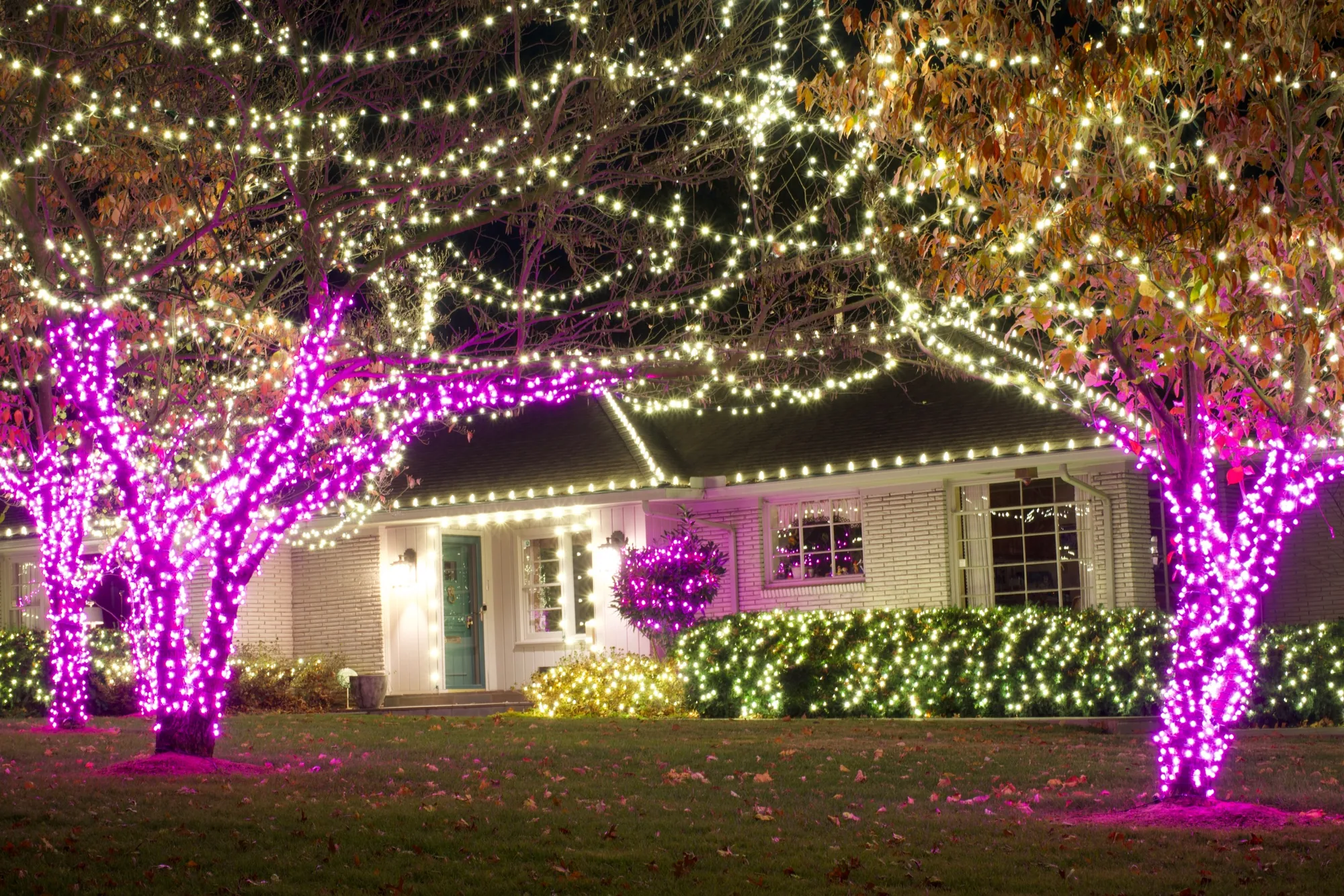 Purple wrapped trees over a white roofline. Christmas Lighting by LIT Outdoor Lighting in Tulsa.