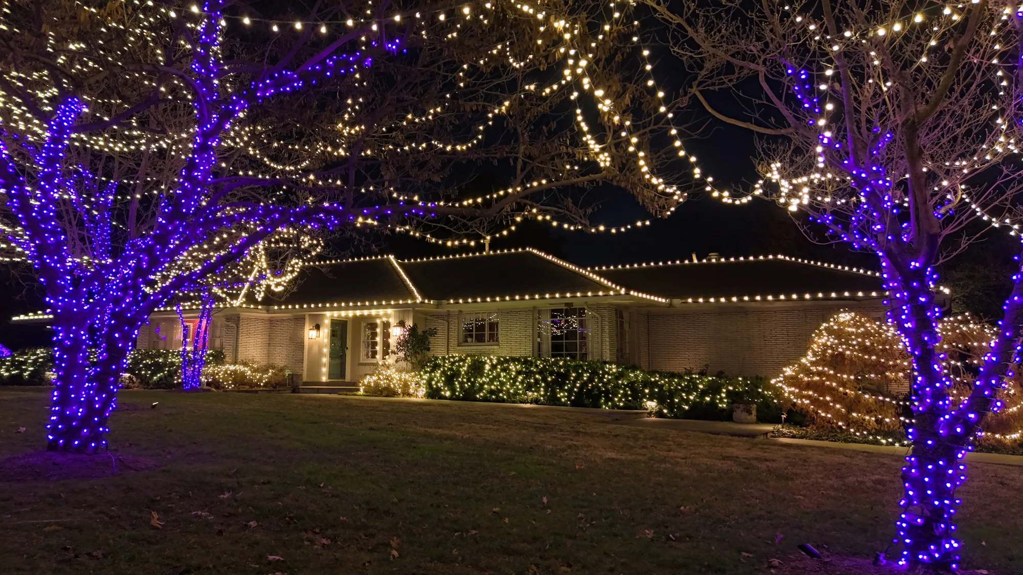 Blue wrapped trees beside a warm white ranch. Christmas Lighting by LIT Outdoor Lighting in Tulsa.