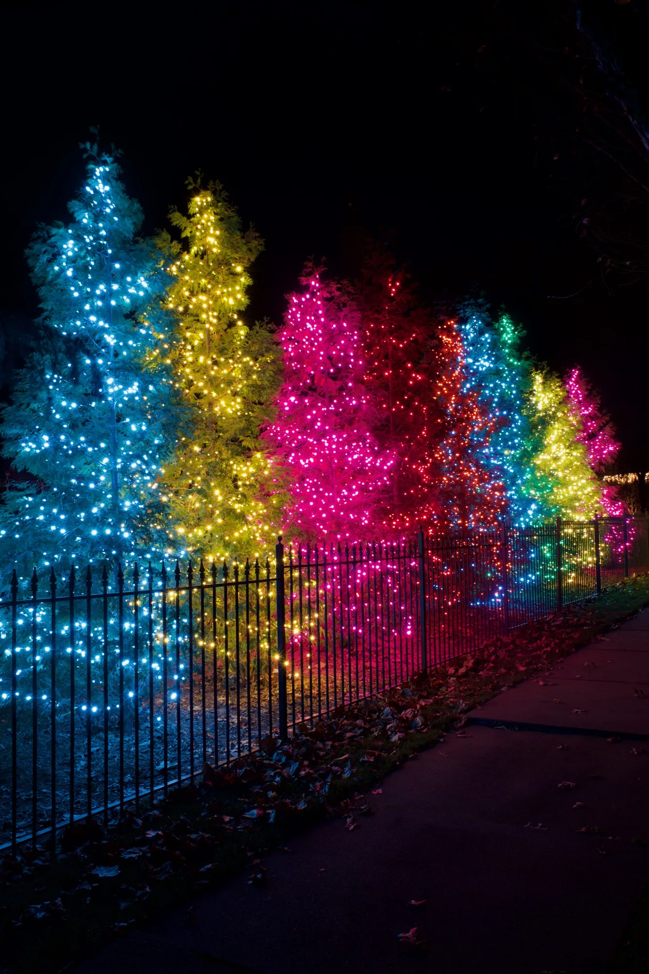 A fence line of trees in blue, yellow, pink and red. Christmas Lighting by LIT Outdoor Lighting in Tulsa.