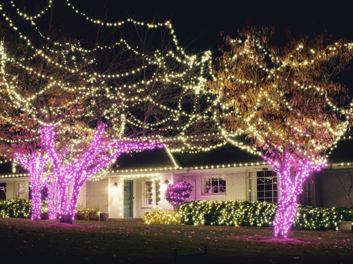 Canopy wrapped over a front lawn